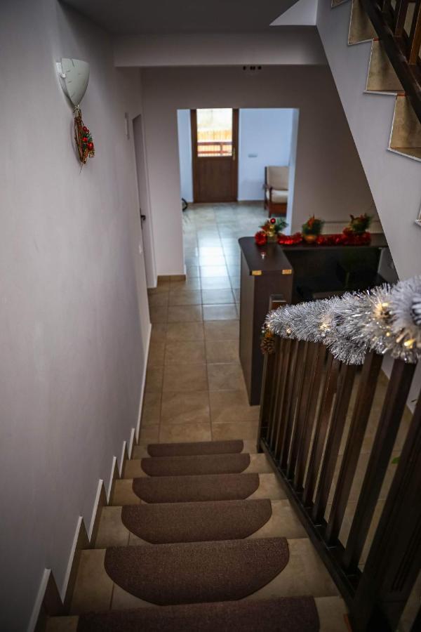 Pensiunea Lucian Baltati ภายนอก รูปภาพ
